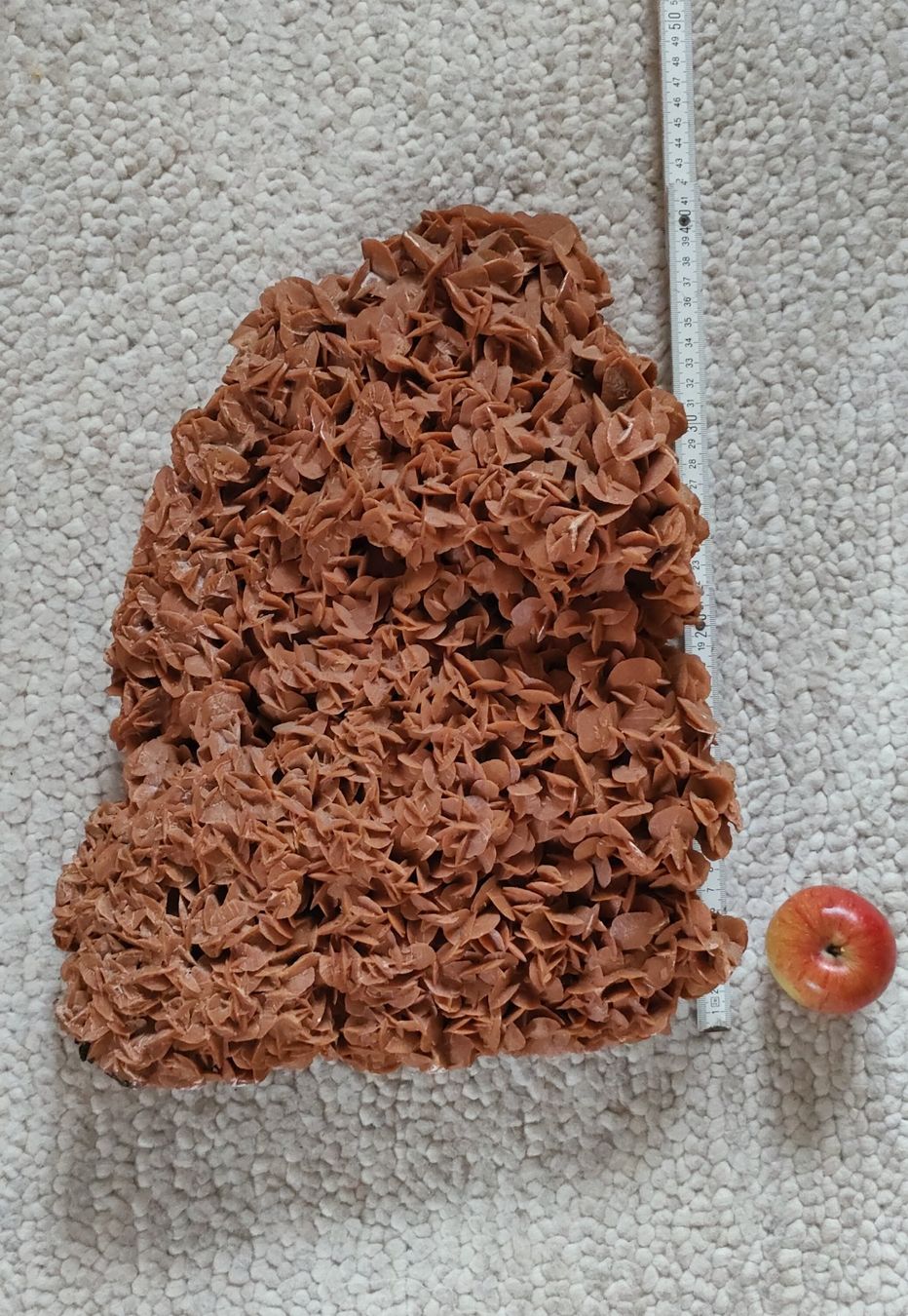 Fossili: Rose des Sables Wüstenrose 8.6kg – Usato da Riaz venduto da Tobydesmonts 2