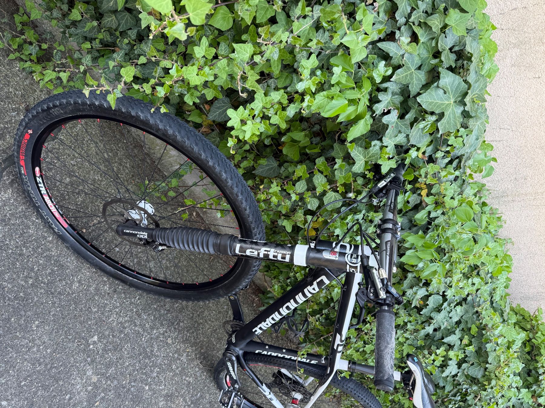 Cannondale Biciclette: Cannondale Flash 29er, Top Zustand! – Usato da Lenzburg venduto da aime2010 6