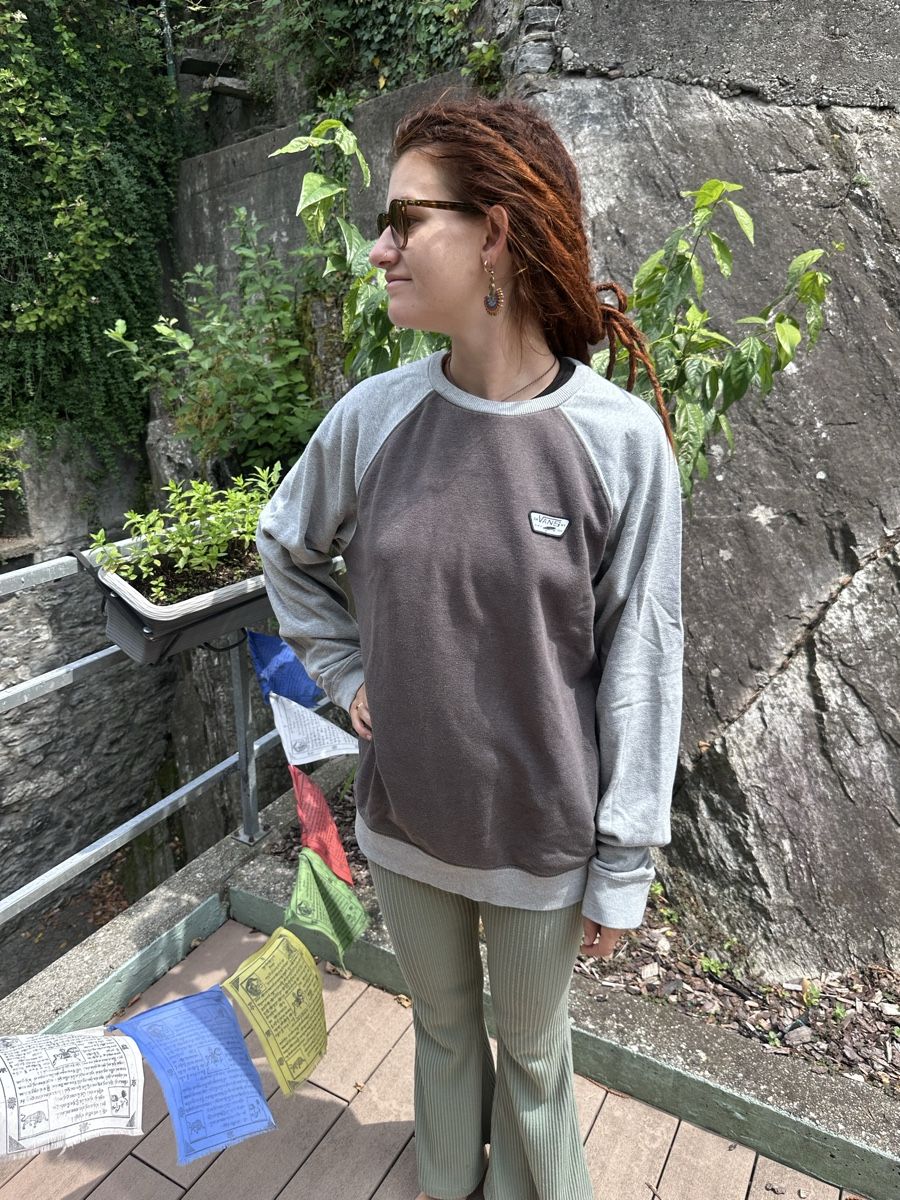 Pulls & Sweat-shirts: Vans sweater – D'occasion à Bellinzona par Samirablank 2