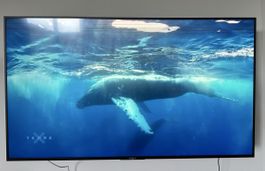 Sony KD-65XE7096 - 65 Zoll 4K UHD HDR Fernseher guteZustand!