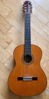 klassische Kindergitarre Aria Pepe PS 58, gut erhalten