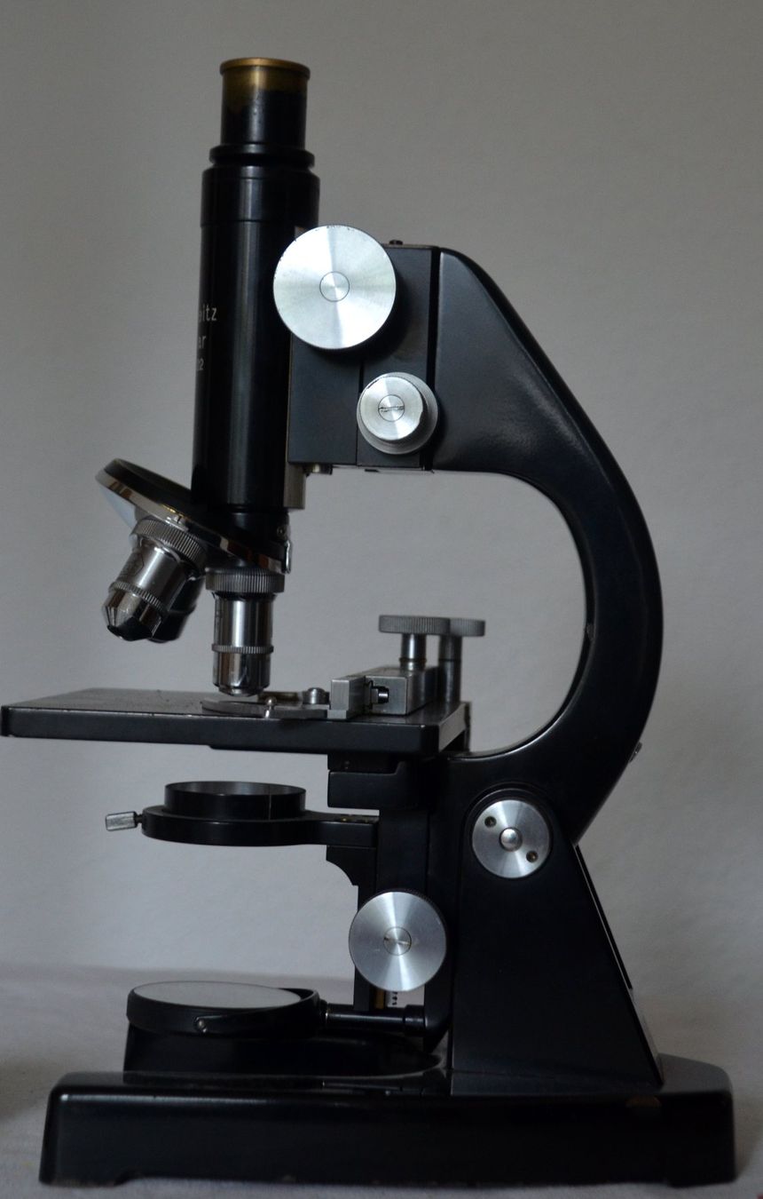 Leitz Microscopi: Ernst Leitz Wetzlar Mikroskop / microscope – Usato da Collonges venduto da arashee 4