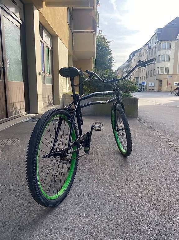 Biciclette: Swingbike SWINGSTAR – Usato da Basel venduto da vas_rgr8