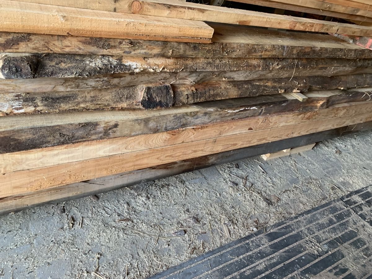 Articoli in legno: Lärchenholz, Garten-Holz, oder für sonstiges – Nuovo (secondo la descrizione) da Winden venduto da EmilNeu 8