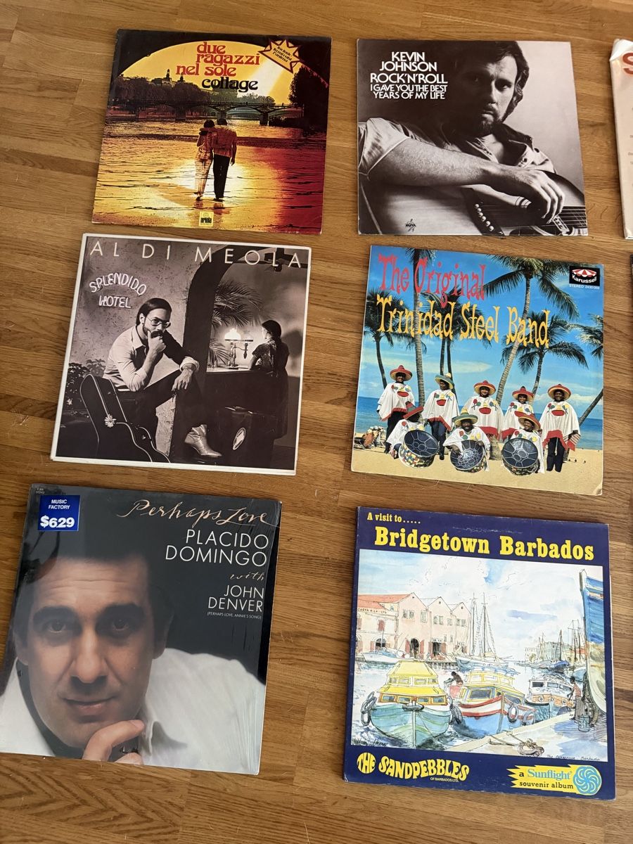 Dischi in vinile: Schallplatten Sammlung 12 Stck – Usato da Buchs ZH venduto da scarah 1