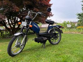 Pony GTX zu verkaufen