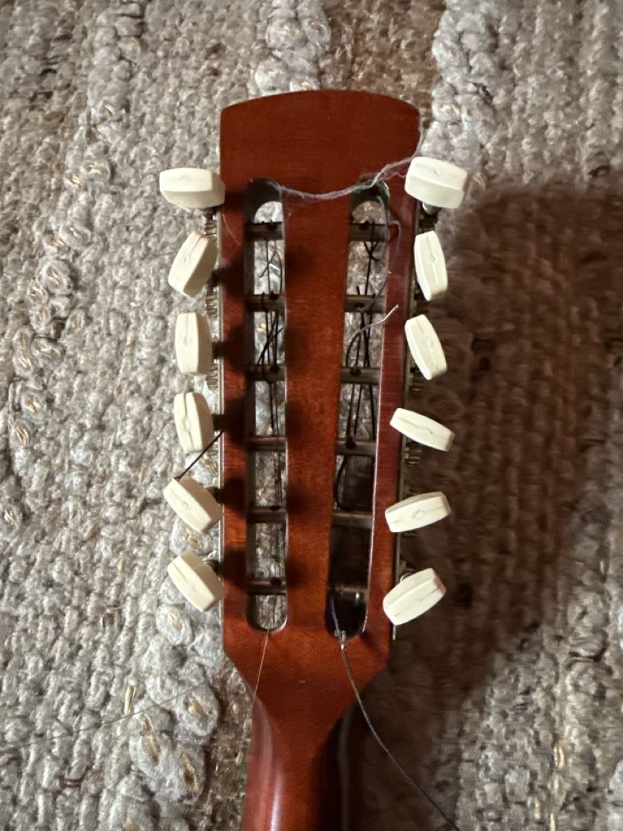 Musikinstrumente: Mandriola – Gebraucht aus Eschenbach SG von hubidani 3