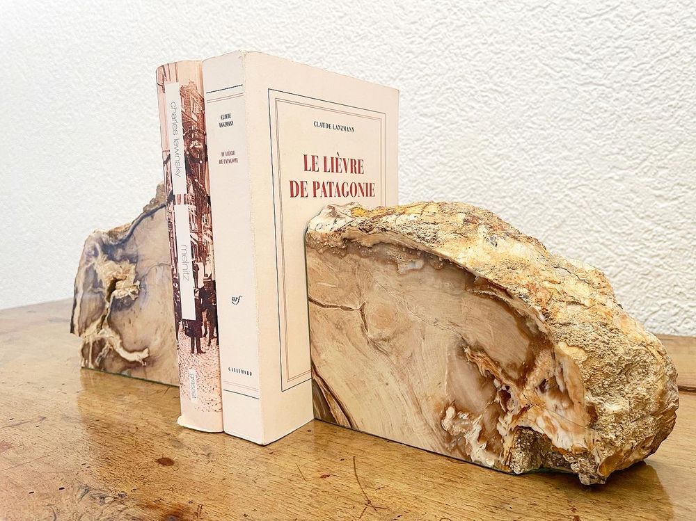 YU FENG Niedliche Umarmungs-Enten Buchstützen Aus Harz – Stylische Deko Für Regal & Schreibtisch