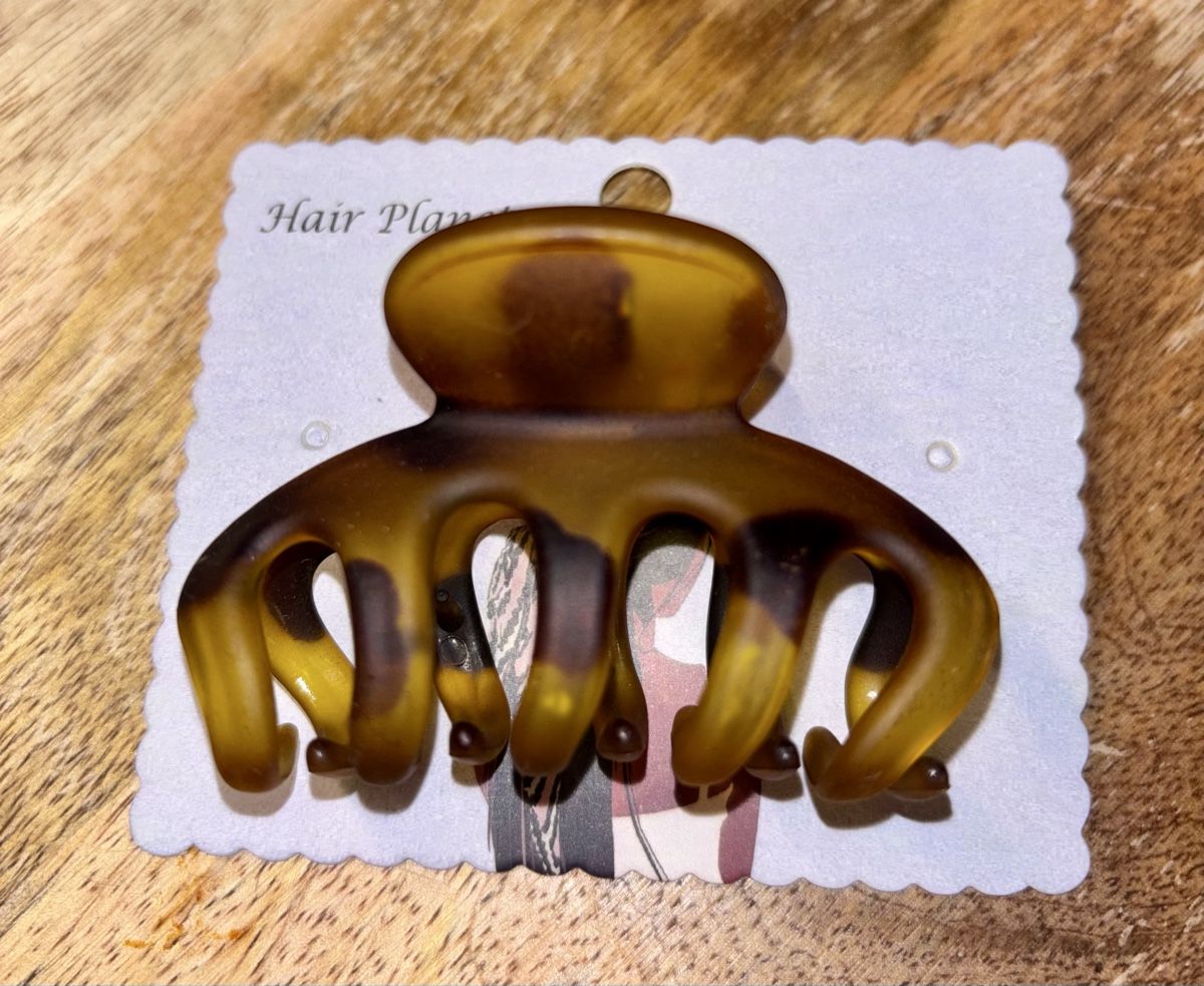 Accessori per capelli: Haarklammer – Nuovo (secondo la descrizione) da Basel venduto da Mirejus 3