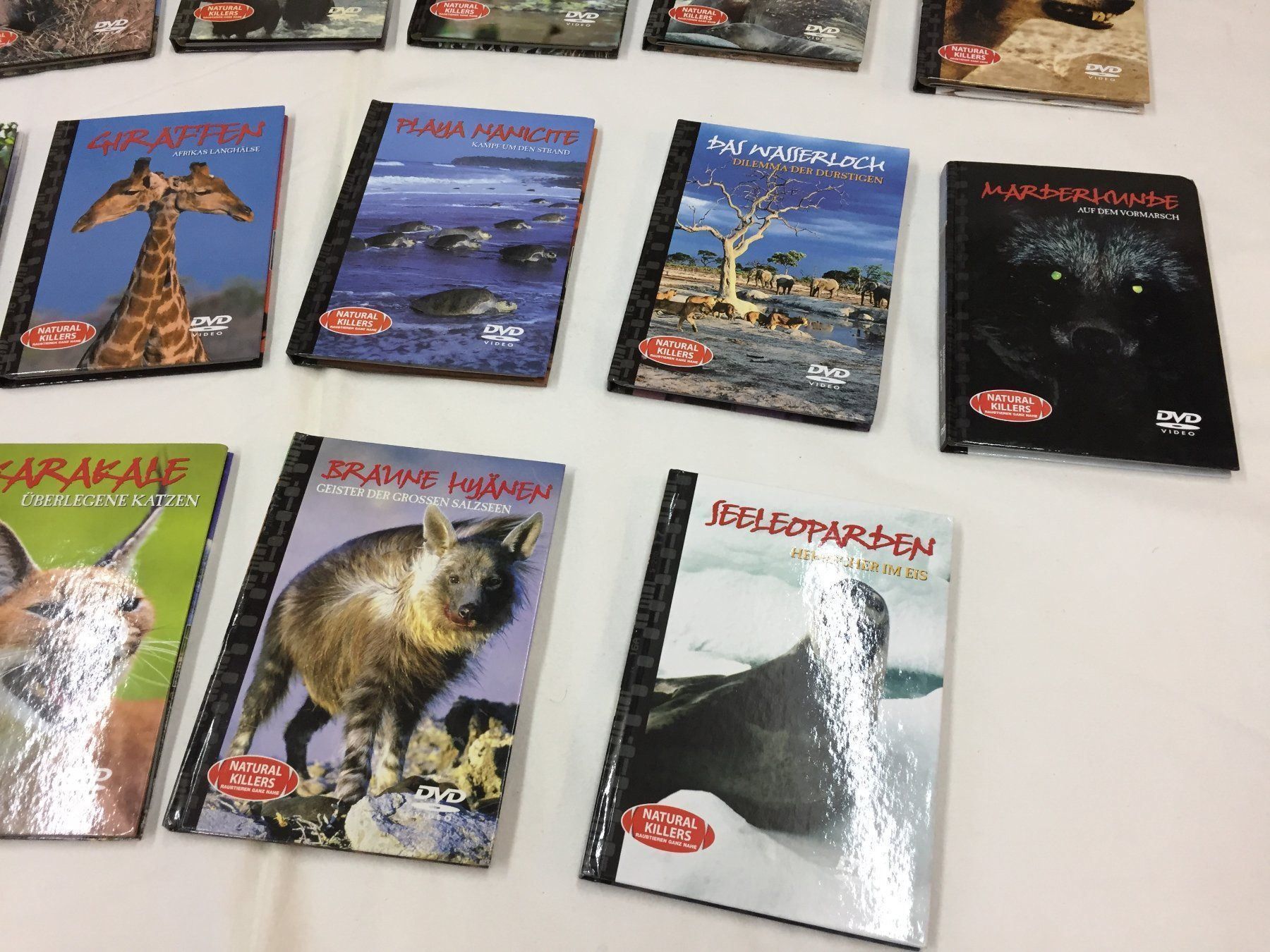 Tutti i DVDs: 18 x DVD "Raubtieren" – Usato da Schaffhausen venduto da sparzone 4