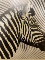 2-er serie zebrabilder von ikea