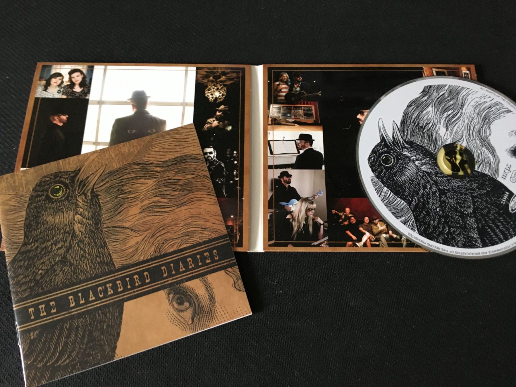CD: Dave Stewart - The Blackbird Diaries -CD- Digipak – Usato da St.Gallen venduto da MedienJoe 1