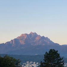 Profile image of sigma_luzern