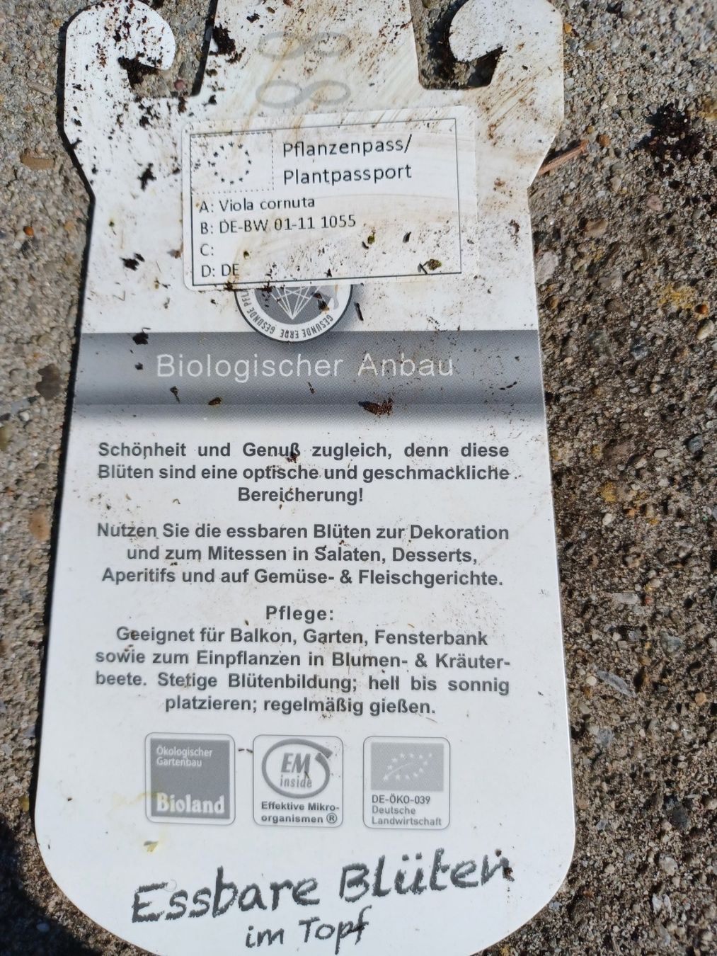 Piante & sementi: Samen Hornveilchen essbare Blüte 20Stk. 2026 – Usato da Schwaderloch venduto da bademeister79 1