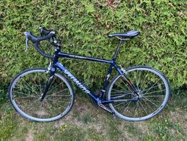 Zu verkaufen Specialized Roubaix Elite
