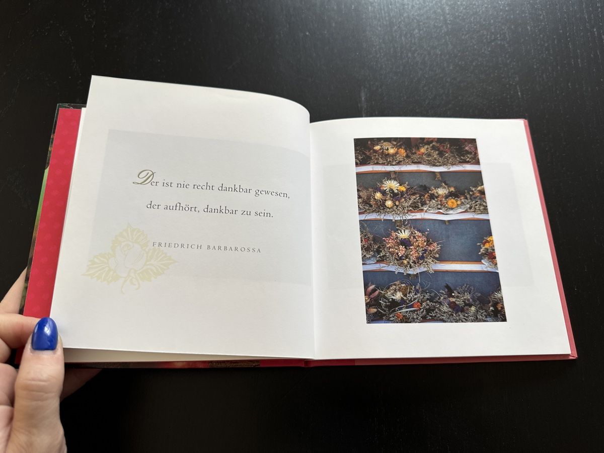 Libri: DANKBARKEIT: Bilder und Gedanken – Usato da Erstfeld venduto da Uhu1980 2