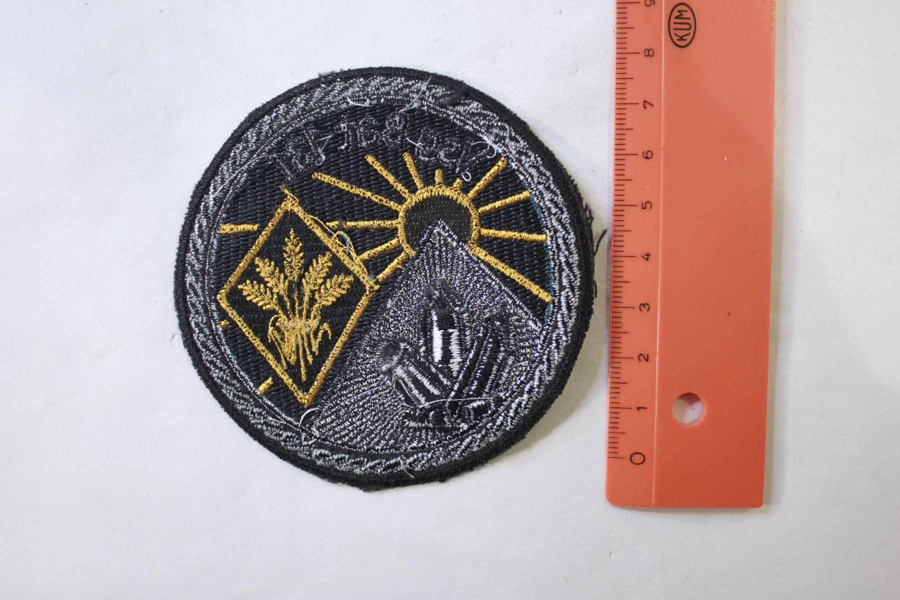 Schweizer Armee Plaketten & Abzeichen: badge 131 – Gebraucht aus La plaine von 762 1