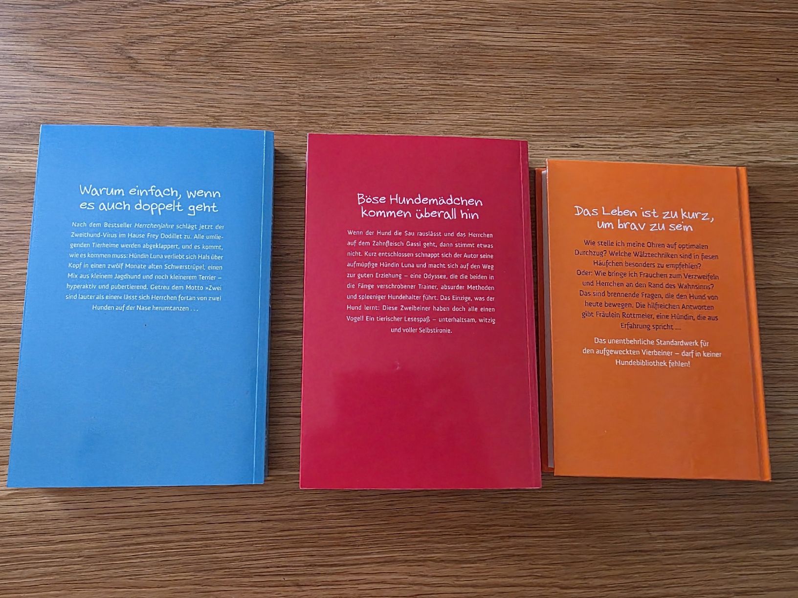 Libri: Michael Frey Dodillet Hundegeschichten – Nuovo (secondo la descrizione) da Gais venduto da ste_y6ps 1