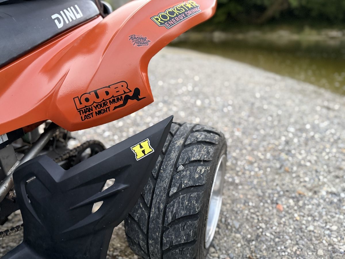 Dinli Quads: Dinli DL DMX 450 – D'occasion à Bischofszell par Ehelena 5
