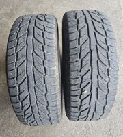 2 Stück 215/65R16 102T