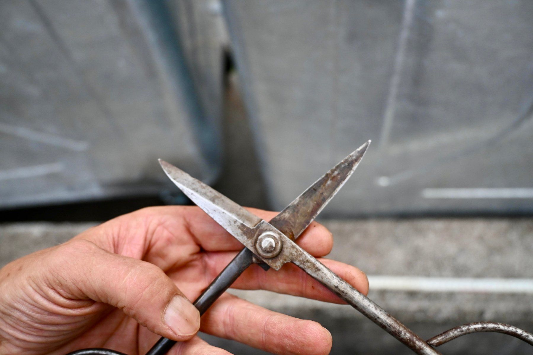 Tous les outils: antike Werkstattschere Länge 21cm – D'occasion à Pfaffhausen par mono_rec 5