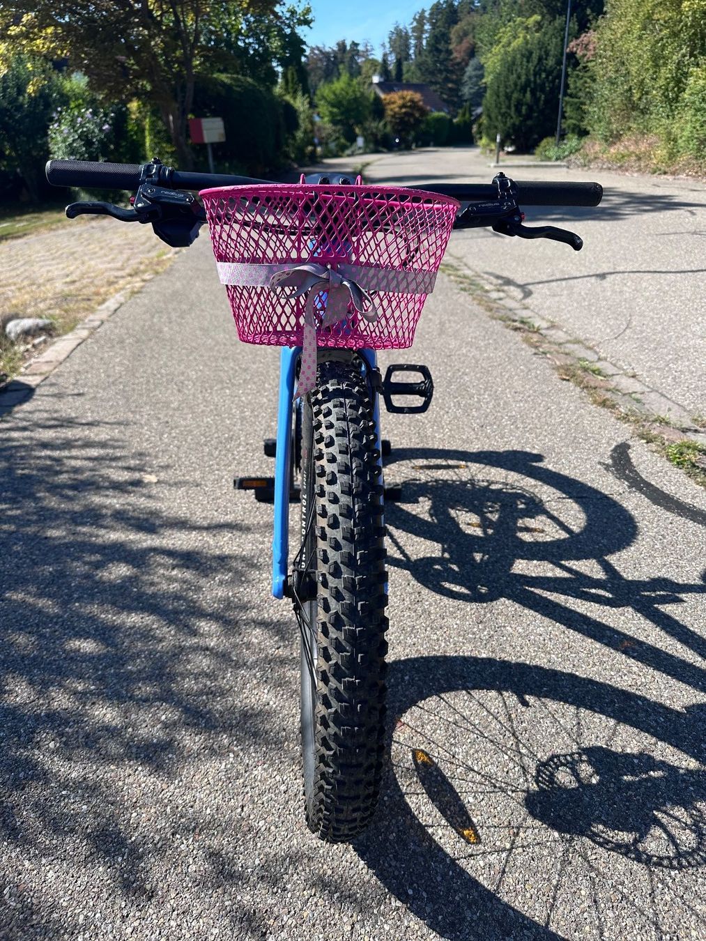 Specialized Biciclette: Specialized Riprock 20" SkyBlue – Usato da Wermatswil venduto da Zurisee2 2