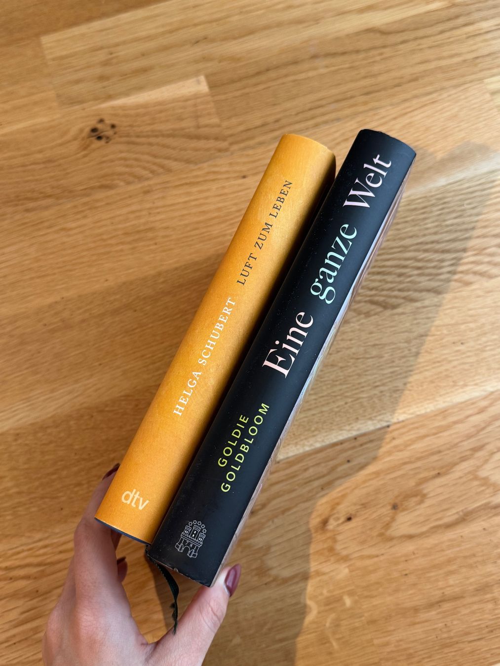 Bücher: 2 Romane, Hardcover, neuwertig! – Neu (gemäss Beschreibung) aus Basel von Susana_ 2