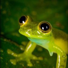 Profile image of Liridon22