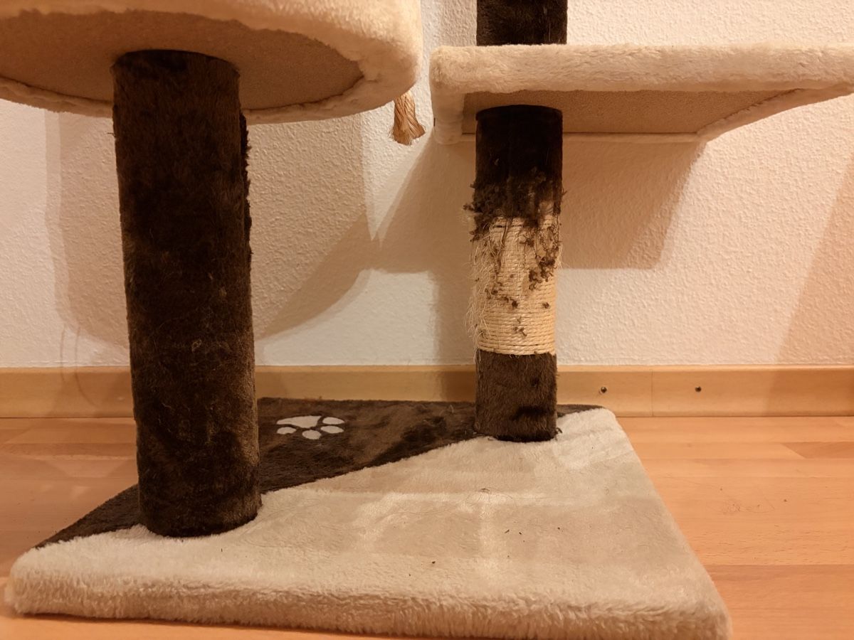 Tiragraffi: Kratzbaum für Katzen – Usato da Aarau venduto da Dotti3 1
