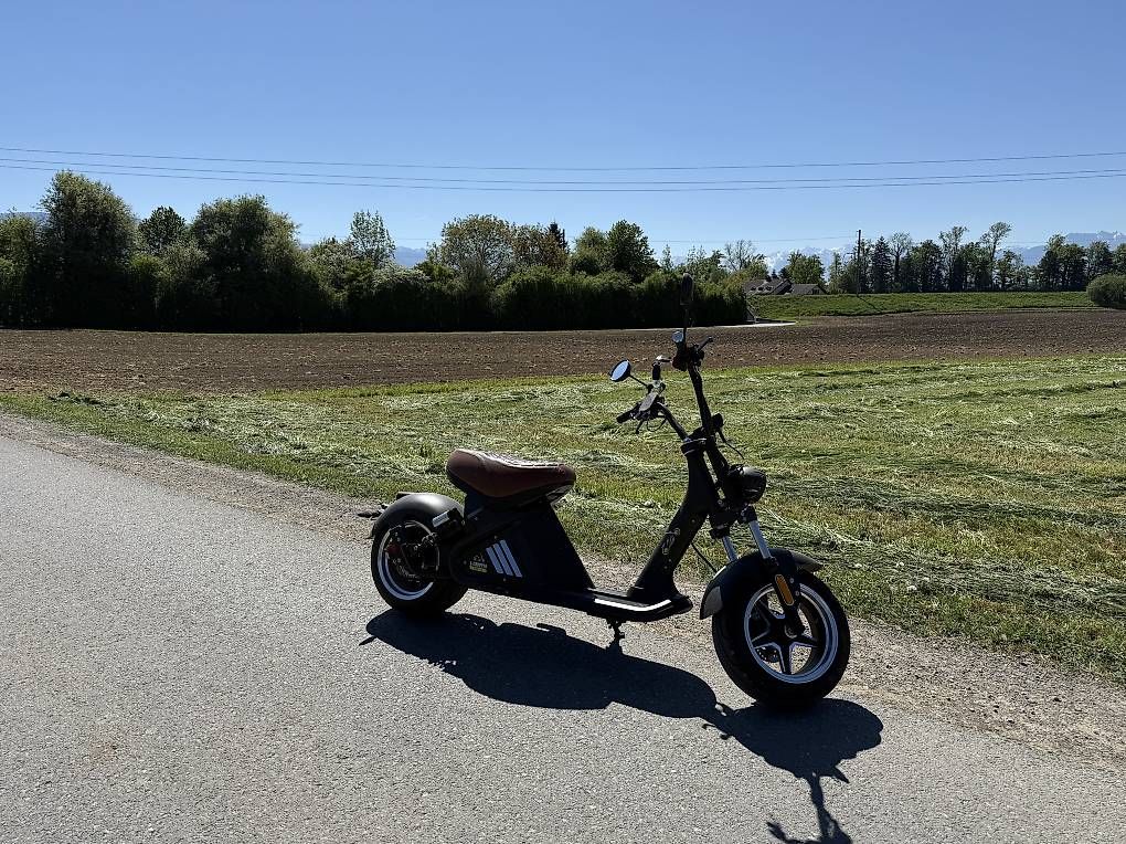 Scooter: E Scooter – Usato da Lüchingen venduto da Elv_vhj9 1