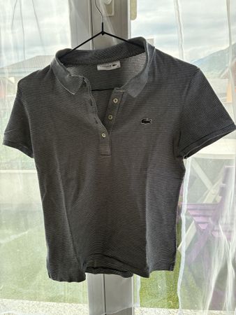 Polo Lacoste 