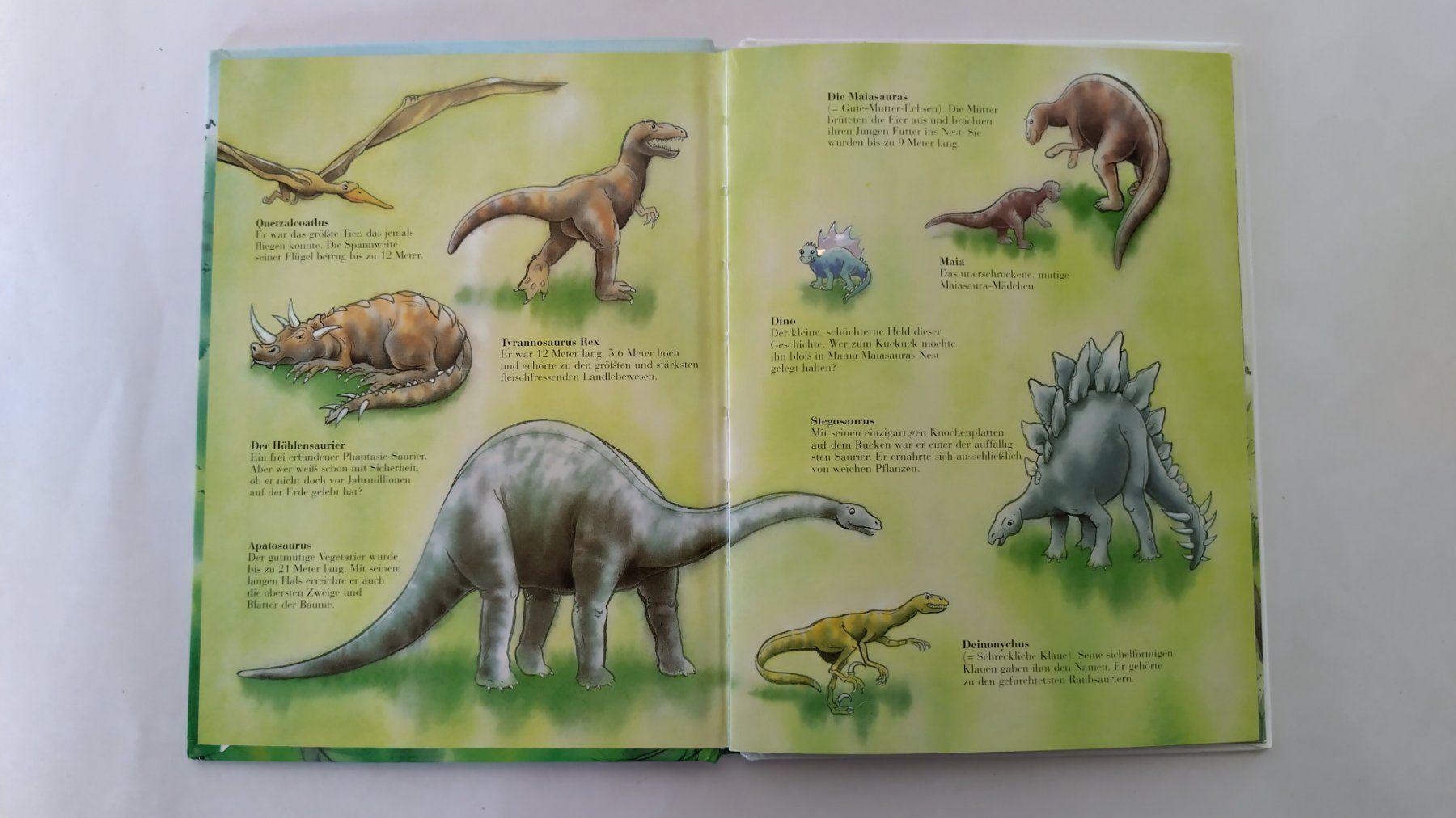 Bücher: Der kleine Dino / Bilderbuch Marcus Pfister / Midi-Format – Gebraucht aus Bellach von JingleJerry 2