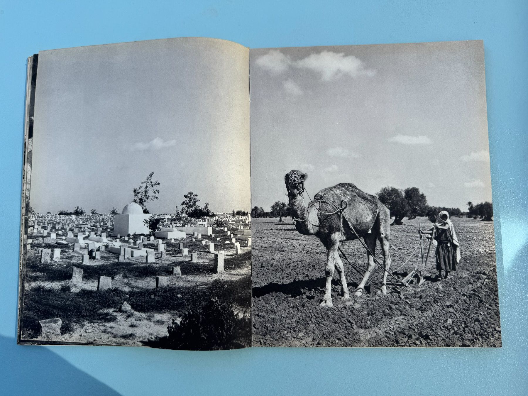 Bücher: TUNISIE - Hélène Hoppenot – Gebraucht aus Basel von Kornblumen 8