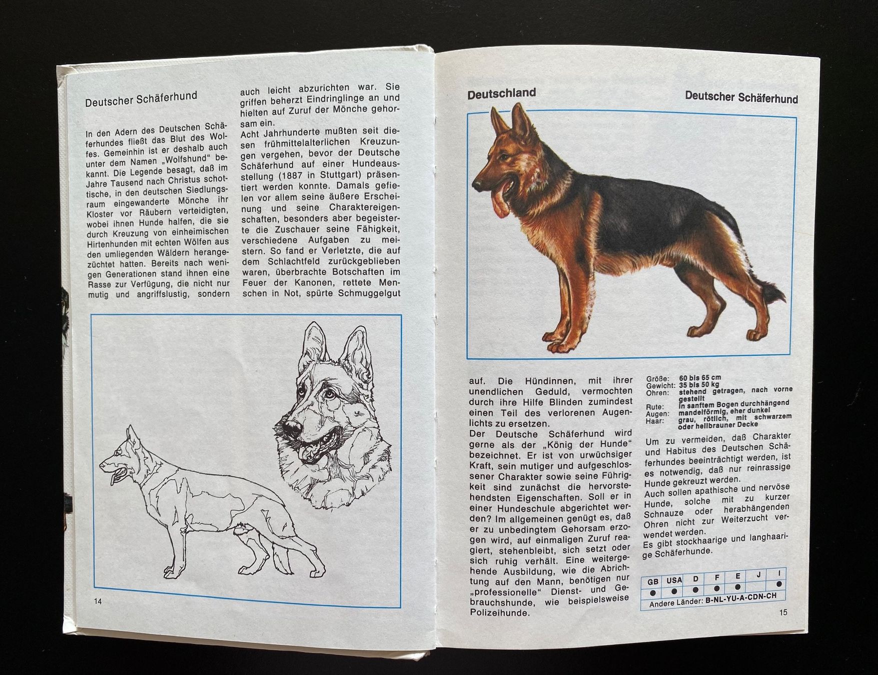 Libri: HUNDE LEXIKON – Usato da Nussbaumen AG venduto da schuba2000 6