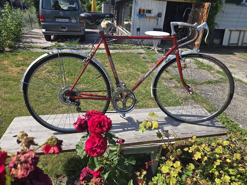Biciclette: Rennvelo Euroteam Race – Usato da Biel/Bienne venduto da Rouf7 1