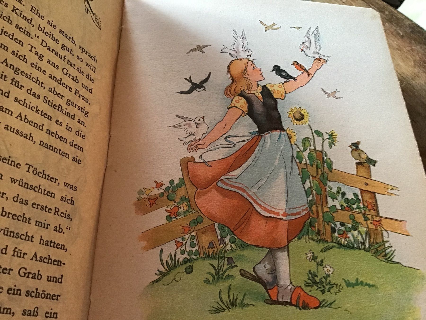 Giocattoli: Altes Kinderbuch Aschenputtel – Usato da St. Gallen venduto da Goldlilly 3