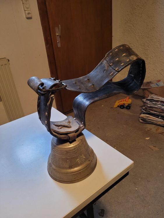 Cloche Kaufen auf Ricardo