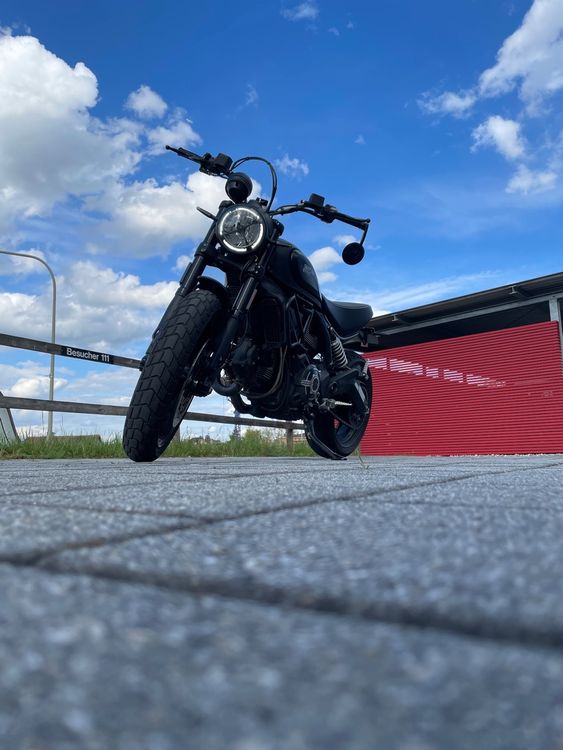 ducati scrambler 803 icon