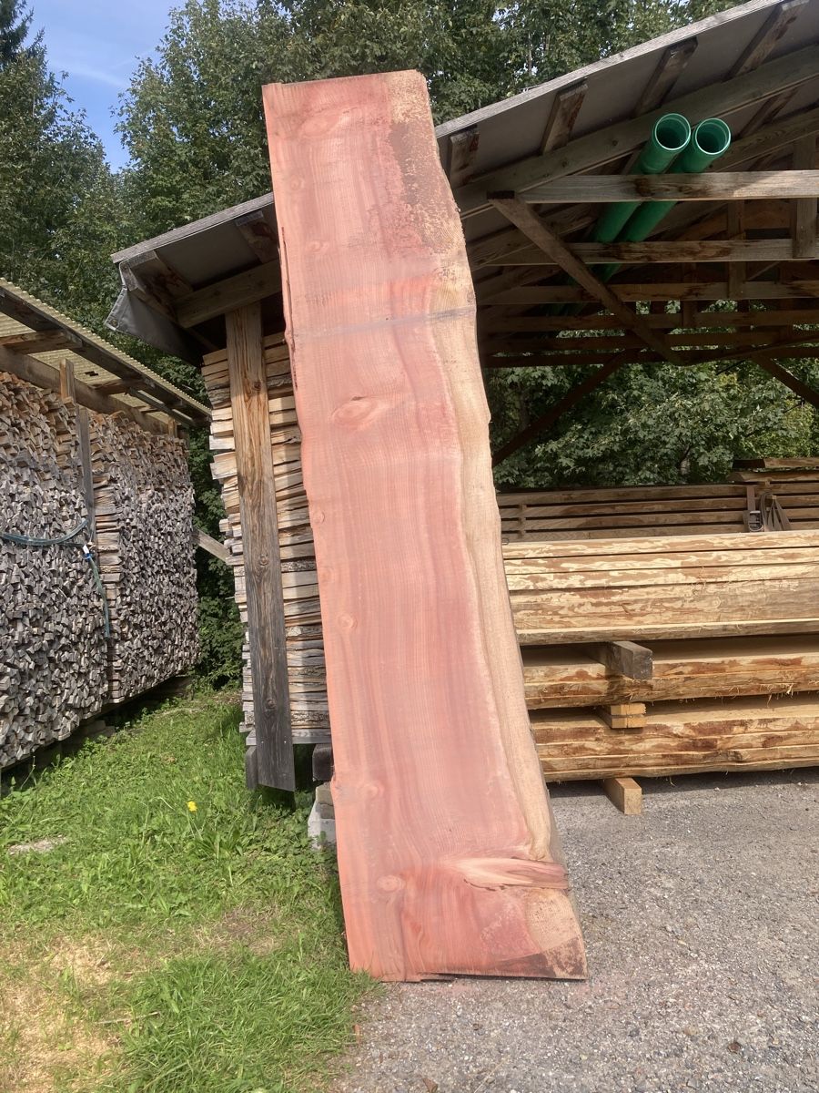 Articoli in legno: Sequoia Riesen Mammutbaum Klotzbretter – Nuovo e nell'imballaggio originale da Wald AR venduto da Mark92 2