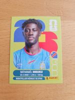 Panini WM 2026 COD 20