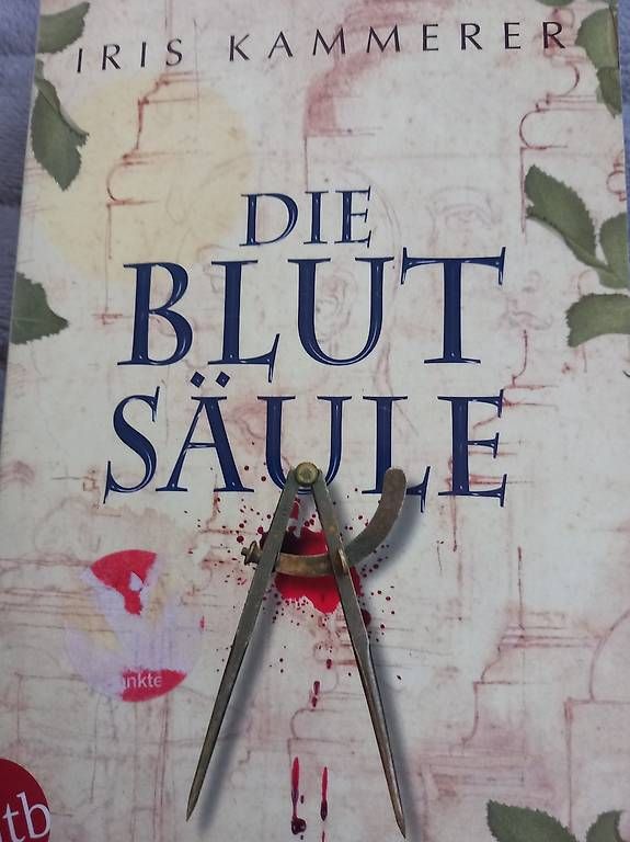 Bücher: Historischer Roman "Die Blut Säule"  – Gebraucht aus Bischofszell von ewa-shop