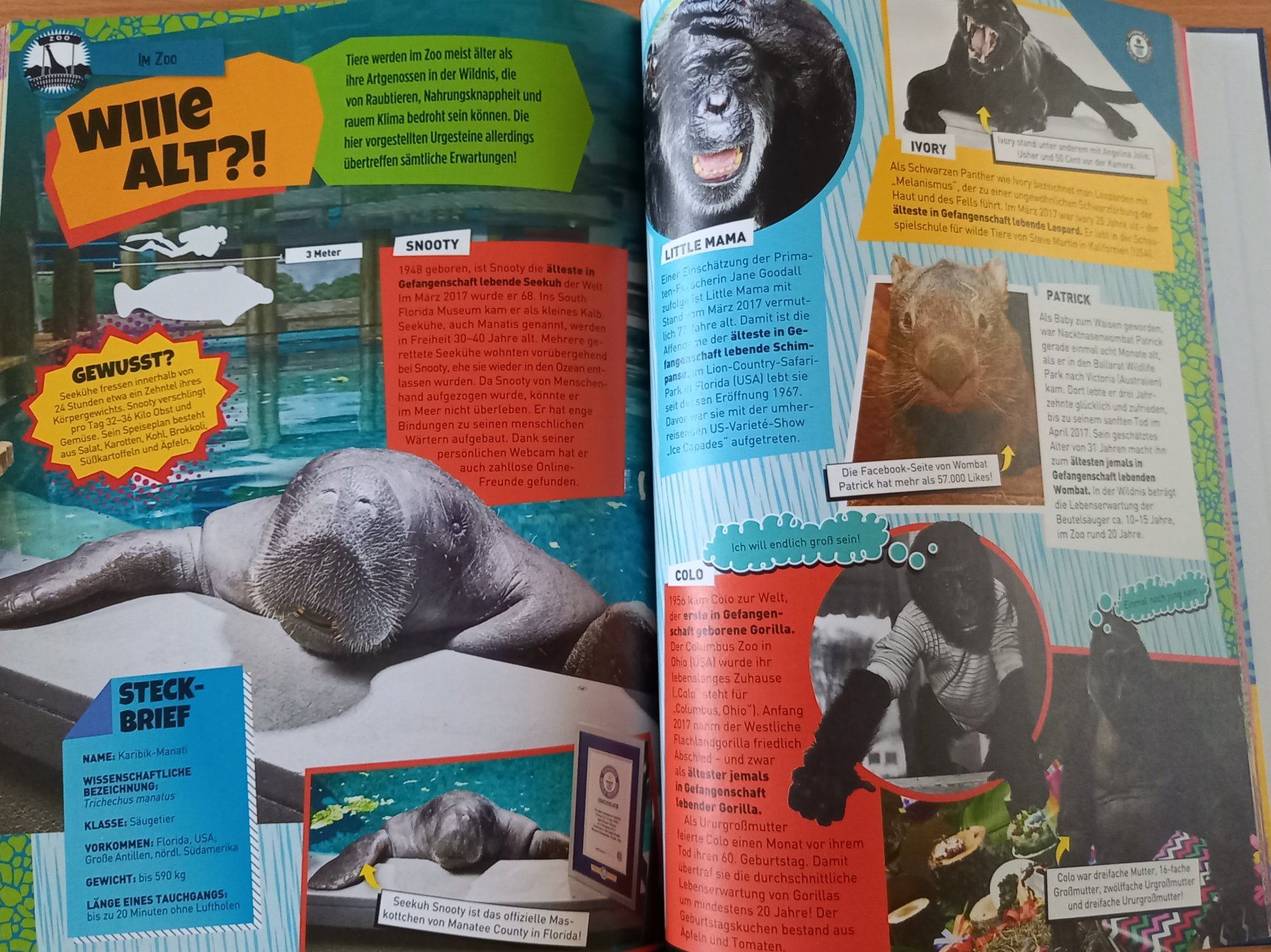 Libri: Guinness World Records Super Tiere Buch – Usato da Obernau venduto da Corolli 7