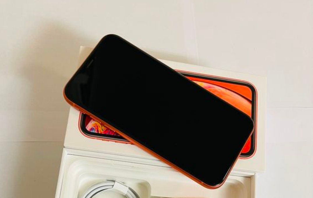 Apple Telefoni cellulari / Smartphones: iPhone XR (256GB) Akku 100% – Usato da Luzern venduto da Waince786