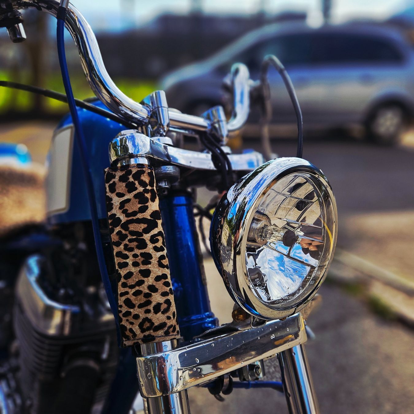 Suzuki Chopper: Suzuki LS 650 savage – Usato da S. Antonino venduto da biscottogarage 4