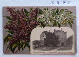 Ansichtskarte Schloss Habsburg Blumenmotiv 1912