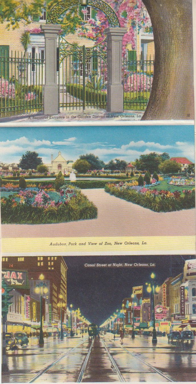 Cartes postales: Carte postale ancienne "Greetings from New Orleans" – D'occasion à Crans-Montana par kira56 1