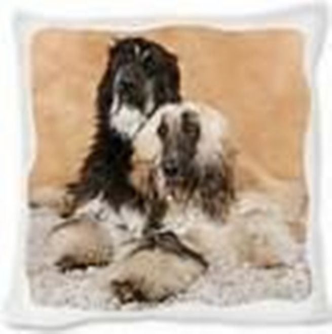 Coussins: Kissen - HUNDE - AFGHANISCHER WINDHUND – Neuf (Voir description) à Rupperswil par big-one-sale