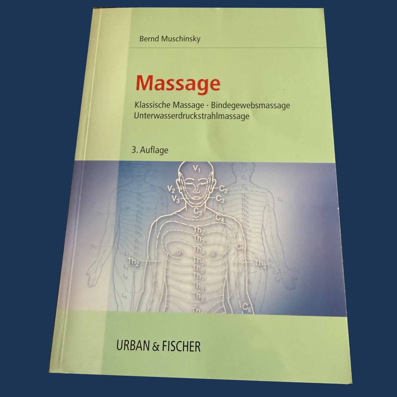 Libri: Heilpraktiker Bibliothek – Usato da Bern venduto da gubaro 6