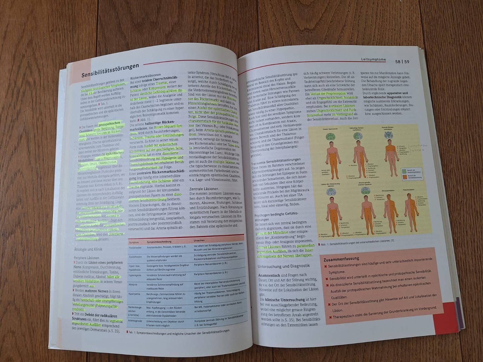 Libri: Buch "BASICS Neurologie", Elsevier, 4. Auflage – Usato da Zürich venduto da traveller09 1