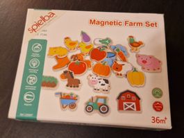 Magnet